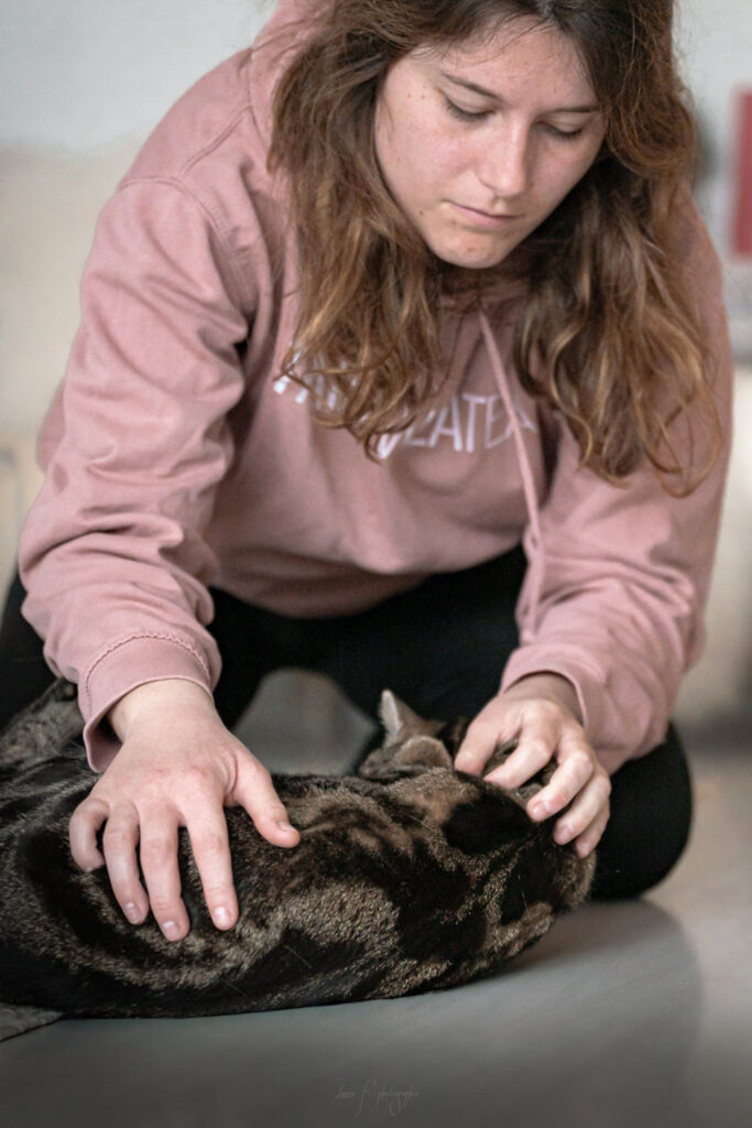 Ostéopathe chat à Genève